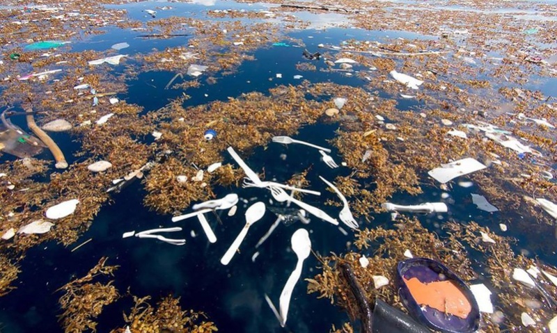 Des photographies inquiétantes des Caraïbes montrent une mer de plastique et de polystyrène 311
