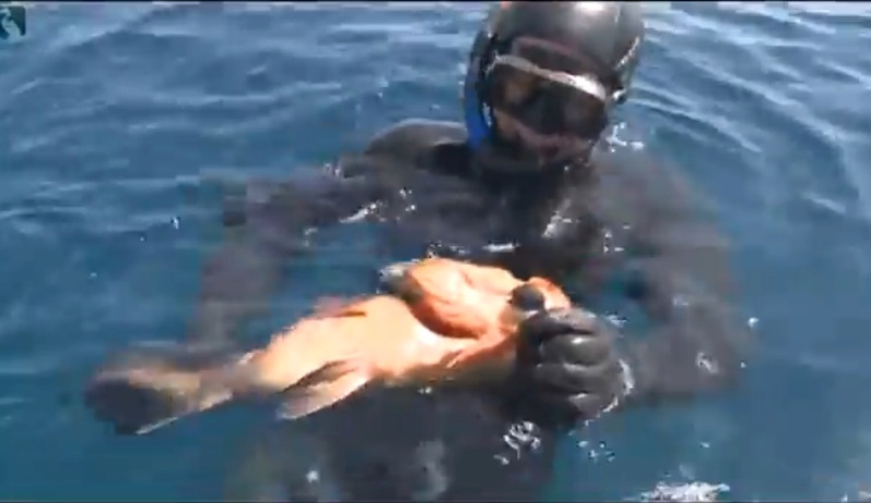 فيديو من رفع العامرية المغربية الصيد بندية لسمك تحت الماء 18-03-10