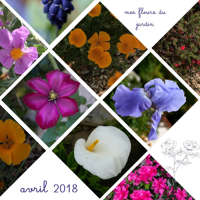 Templates de mars 2018 Fleurs13