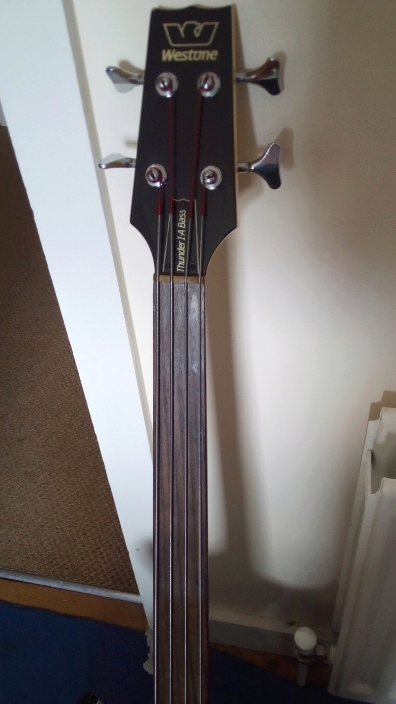 Thunder 1 A Fretless bass Img_2013