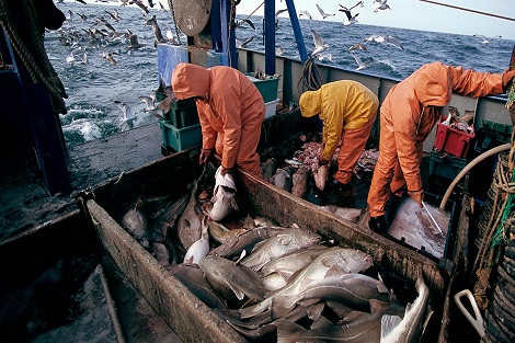 المغرب والاتحاد الأوروبي يشرعان في مفاوضات تجديد اتفاق الصيد Files_10