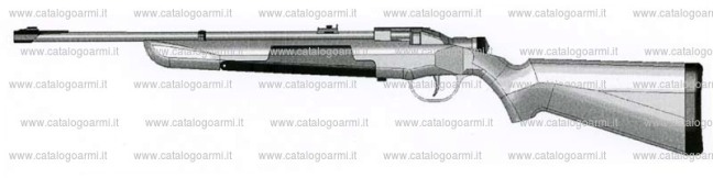 LES ARMES A AIR ET A GAZ COMPRIMES  - Page 2 Carabi10