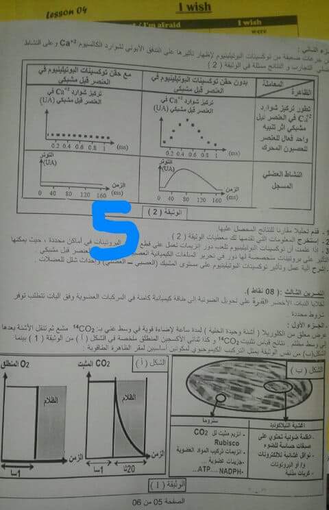 باكلوريا  تجربية  علوم طبيعية 2018  Receiv14