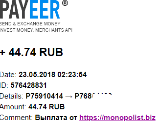 MONOPOLIST. BIZ-экономический симулятор Z55