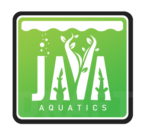 About Java Aquatics Thumbn10