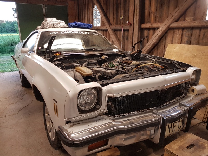 Hello From Sweden -- 73 El Camino SS 20180516