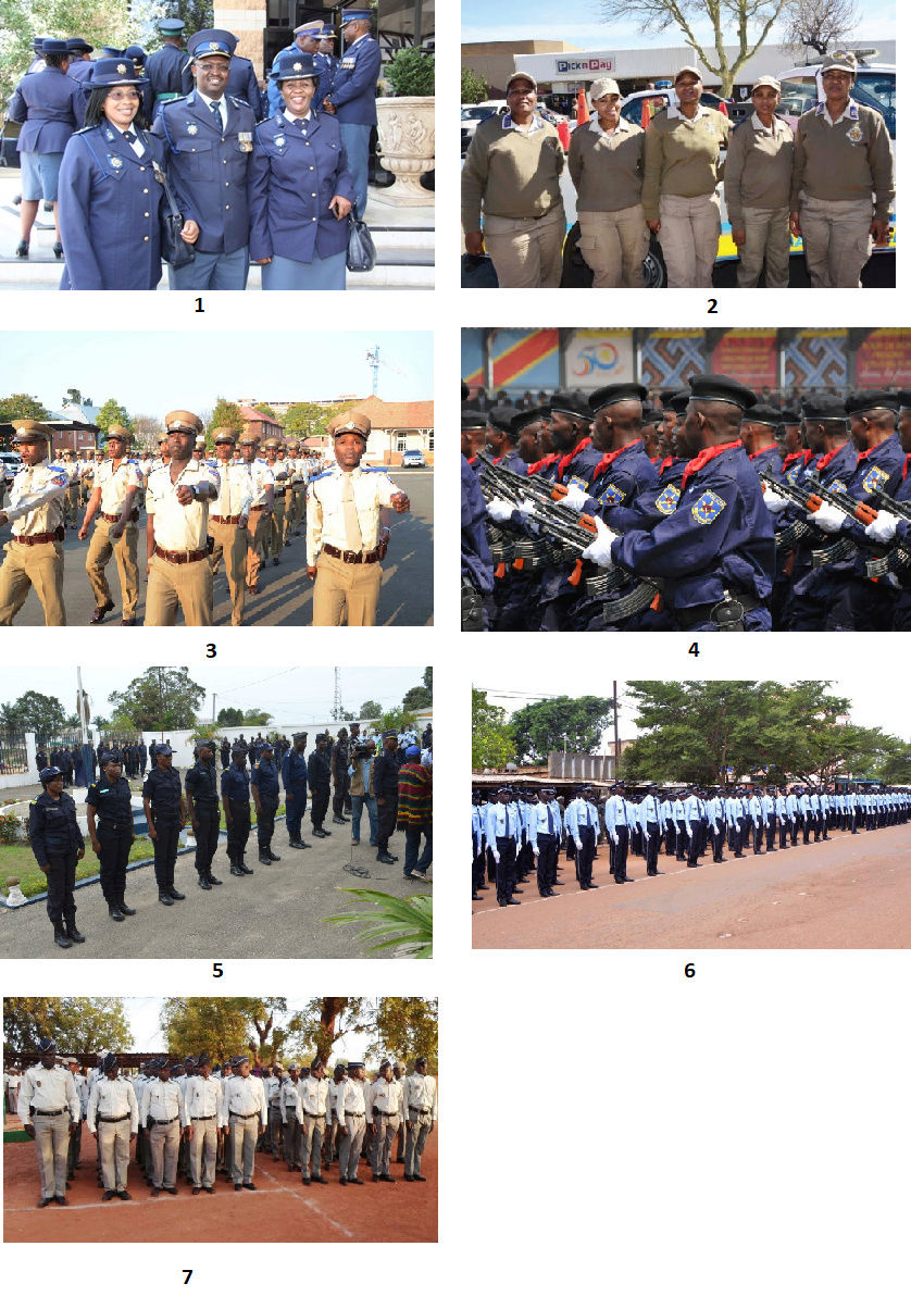 Uniforme des forces de police et de police aux frontières (douane) Votepo11