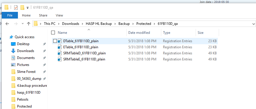 Hasp HL Pro Key & Emulator? Captur10