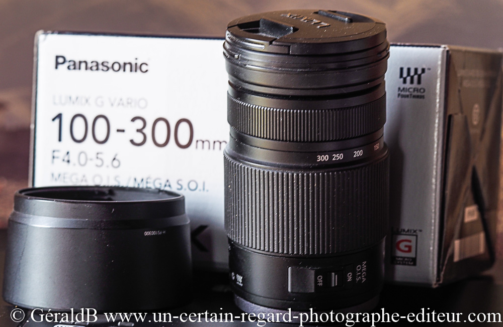 [VENDU]  Lumix G Vario 100-300mm f/4.0-5.6 _6050511