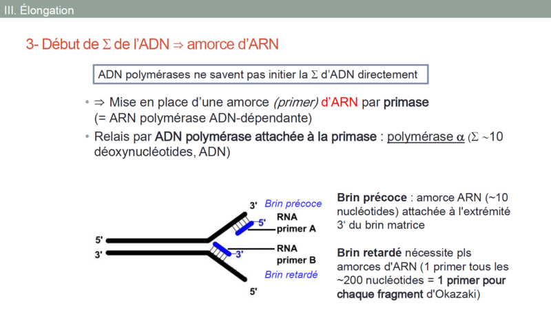 Concours blanc 2014-2015 Question 1 Delobel  Captur13