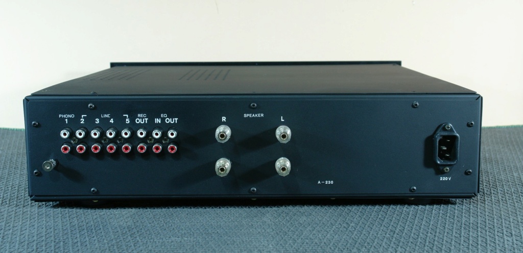 Amplificador artesanal A-230 Dsc06716