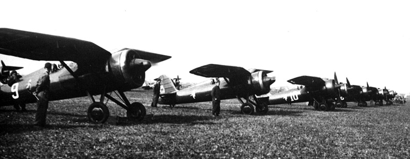 [Arma Hobby] PZL P.11c - Escadrille 131 du Dyon. III/3 - Pologne - 1939 131_em10