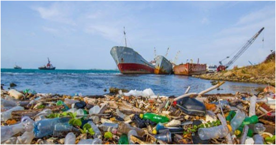 التلوث البيئي باللدائن البلاستيكية في المحيطات Nouvel11