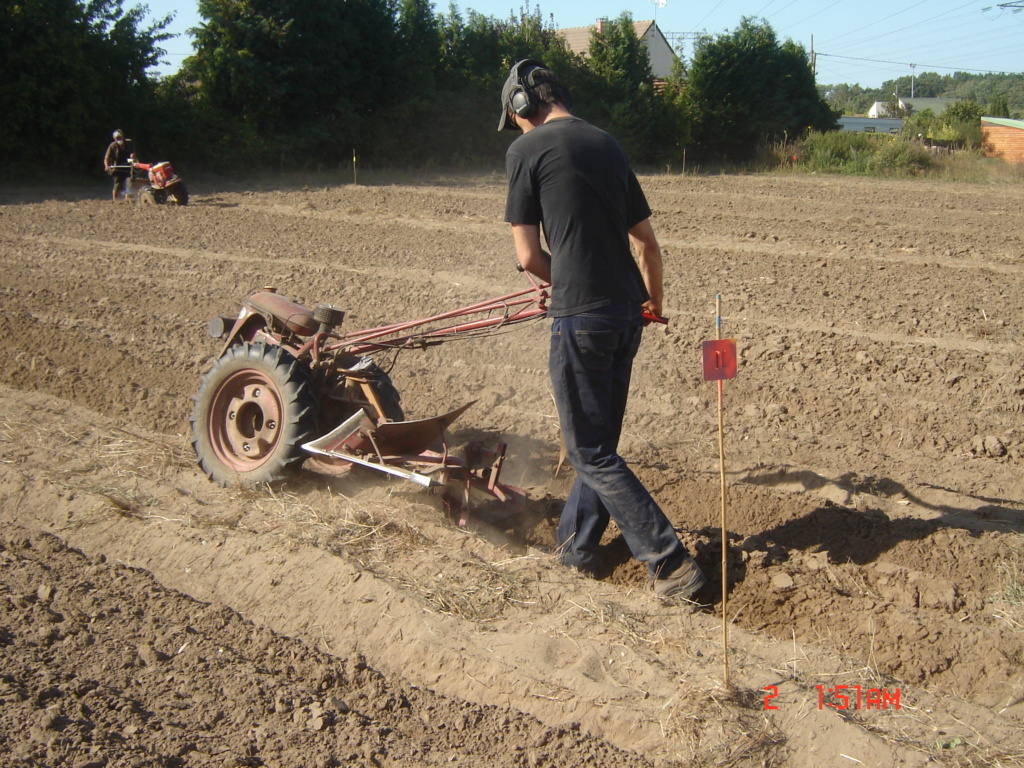 VIARMES 2019 CONCOURS DE LABOUR AUX MOTOCULTEURS - Page 2 Dsc06520