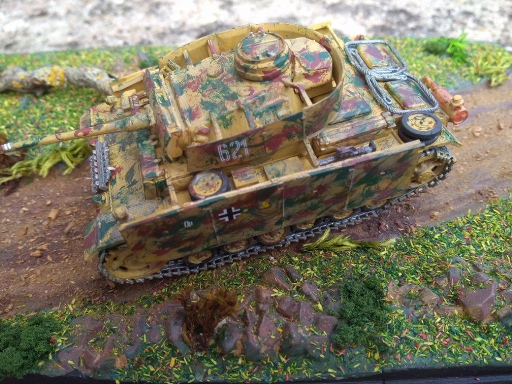 [Revell] Panzer IIIM---------fini---------- Img_1500