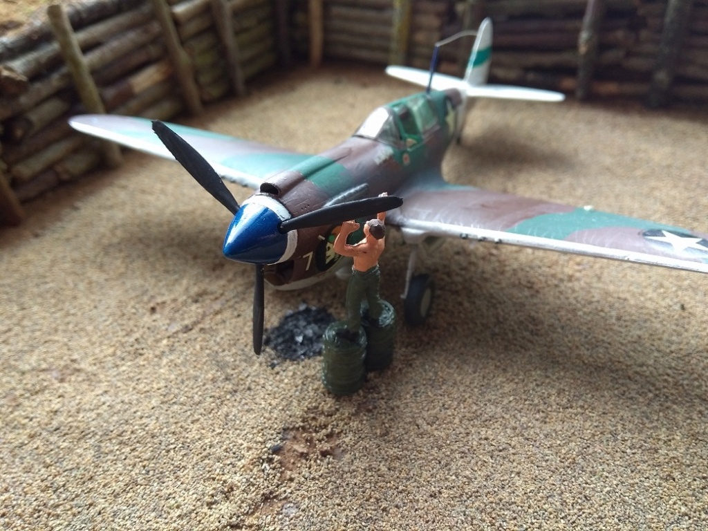 [Hasegawa] P40N Warhawk opération sauvetage ;) (Terminé) Img_2288