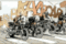 Forum Joe_ba13