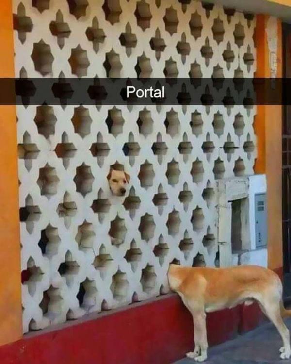 The portal and all that good stuff! Portal10