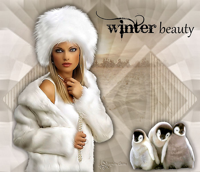 G067 - Winter beauty [seizoen-winter] 67-win10