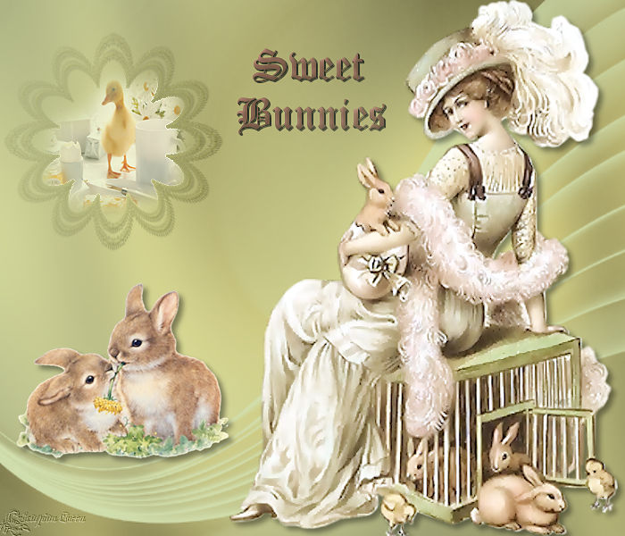 P04 - Sweet bunny's [pasen] Les_4_14