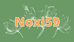 [PN] Rapports d'activités de Noxi59. Untit642