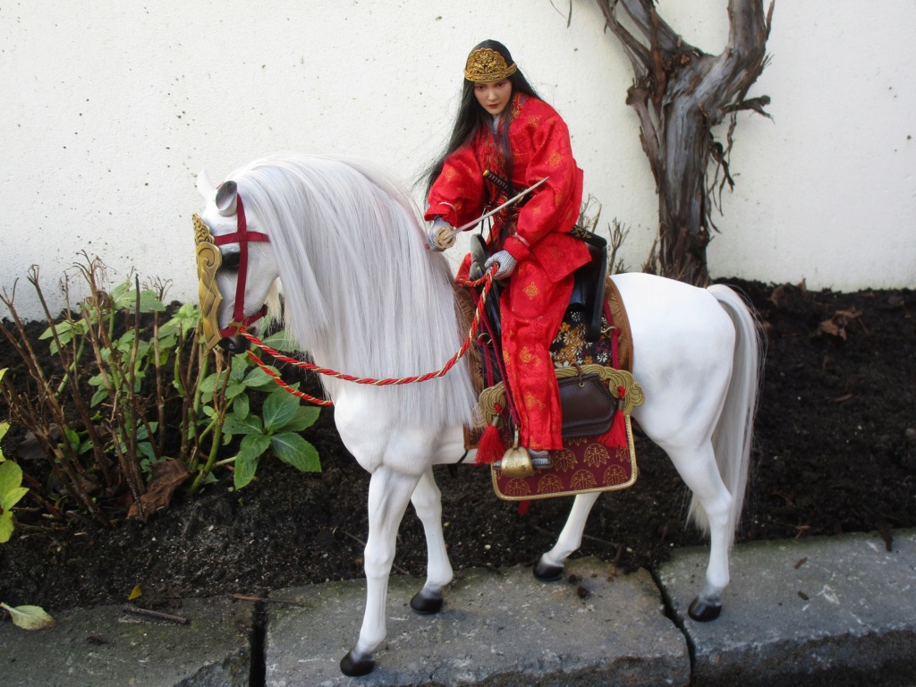 PopToys - NEW PRODUCT: POPTOYS: 1/6 Japan's First Beauty Tomoe Gozen & Military Horse Img_4522