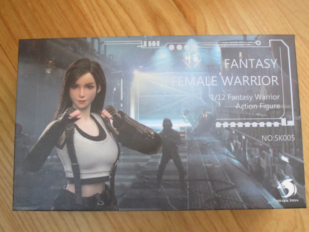 Videogame-based - NEW PRODUCT: SharkToys: SK005 1/12 Scale Fantasy Female Warrior Img_6625