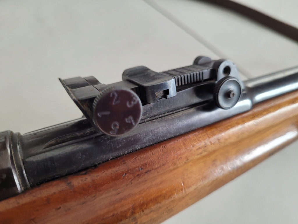 Identification modèle Mauser 22lr 20220915
