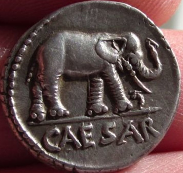 Reproducción de Denario de Julio César. Elefante Elefan10