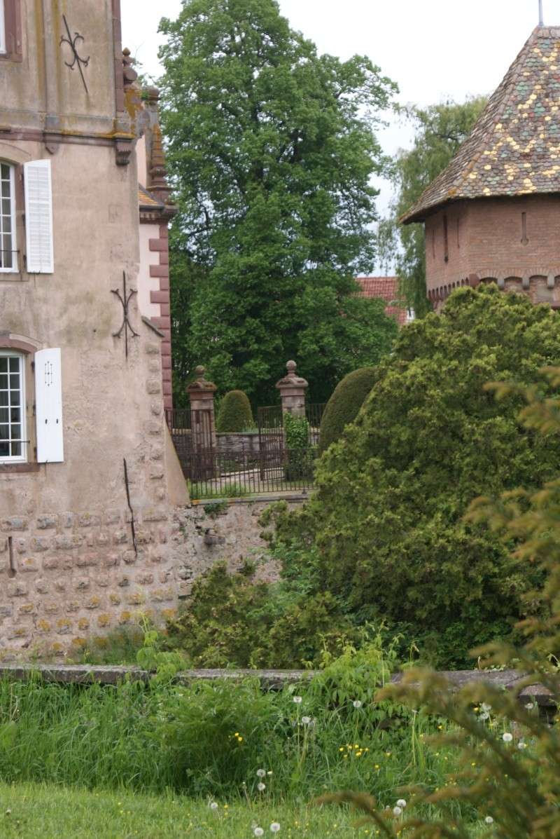 Le château d'Osthoffen Dsc07517