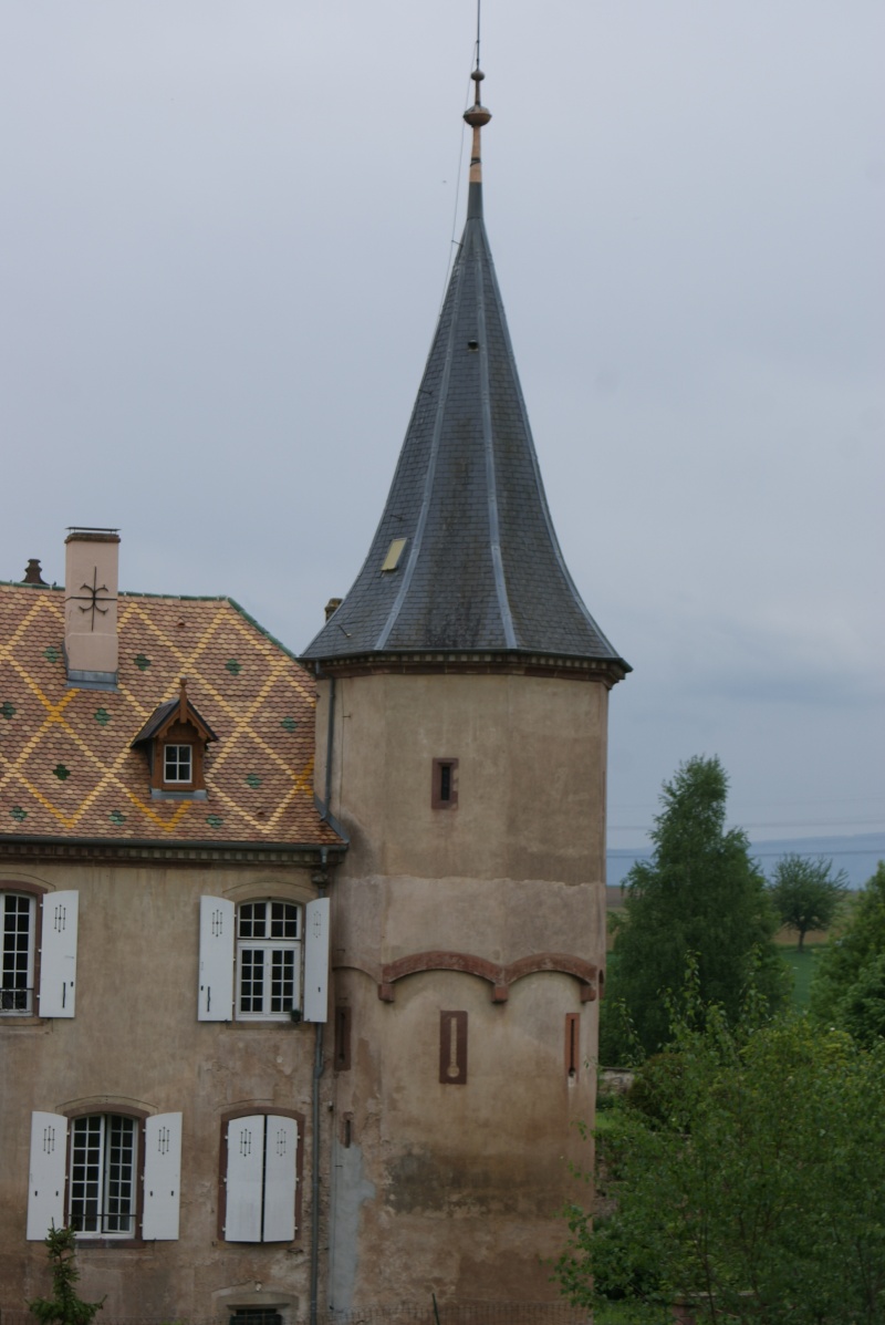 Le château d'Osthoffen Dsc07519