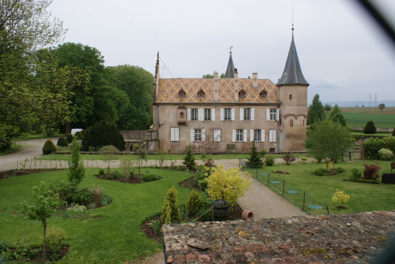 Le château d'Osthoffen Dsc07523
