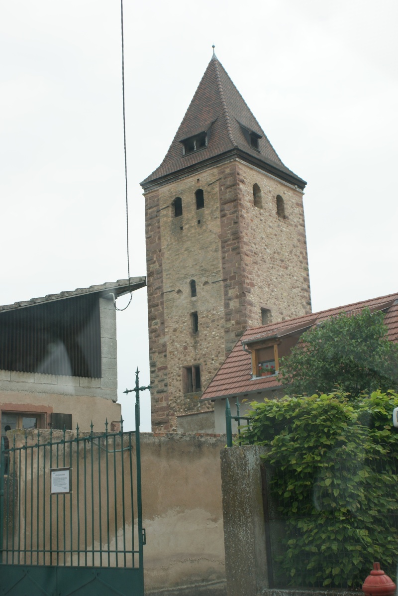 Le Château de Niedernai Dsc07912