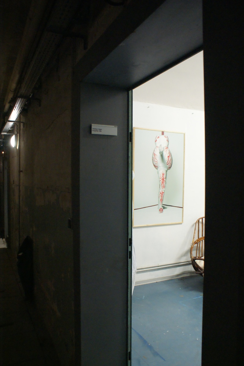 exposition d'oeuvres artistiques rue des Remparts à Strasbourg le 16 Mai 2010 Dsc07947