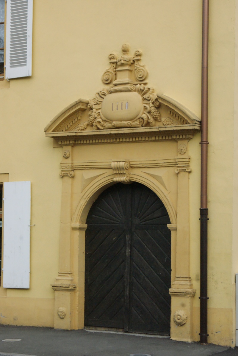 De Strasbourg à Neuf-Brisach par les petites routes au bord du Rhin - Page 2 Dsc08779