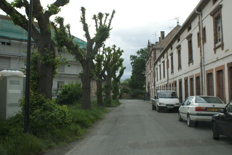 neuf brisach - De Strasbourg à Neuf-Brisach par les petites routes au bord du Rhin - Page 2 Dsc08788