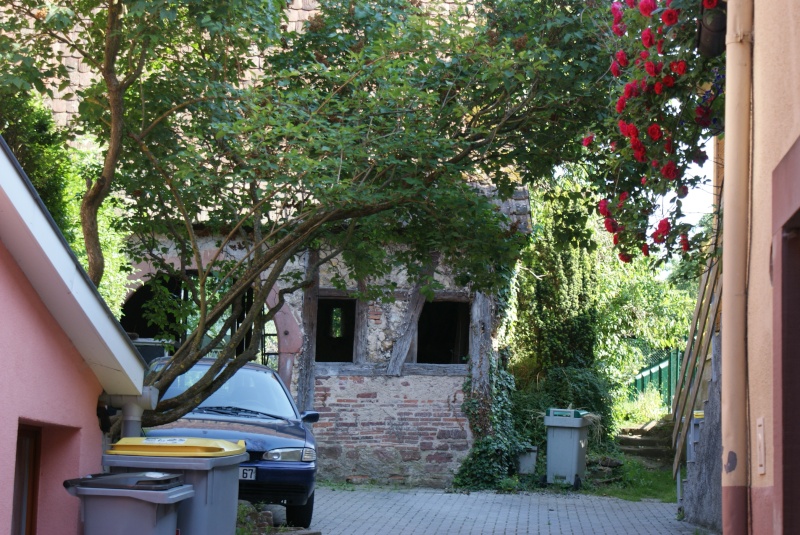 Le village de Barr en Alsace Dsc09258