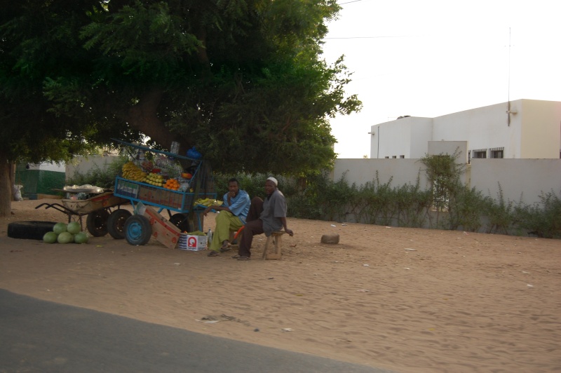 Sénégal, Mbour, journée du 28 décembre 2008 Dsc_0944