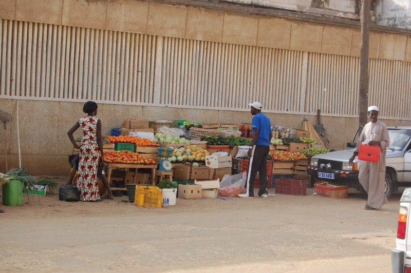 Sénégal, Mbour, journée du 29 décembre 2008 Dsc_0985