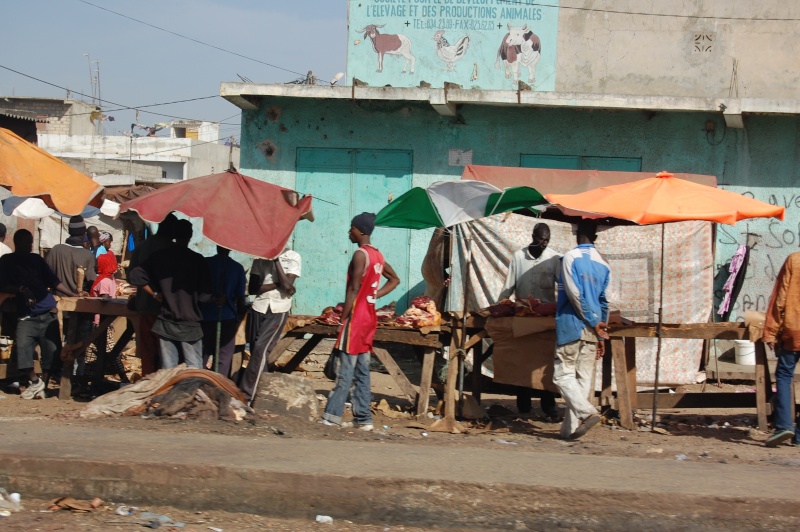 Sénégal, Mbour, journée du 3 janvier 2009 Dsc_1365