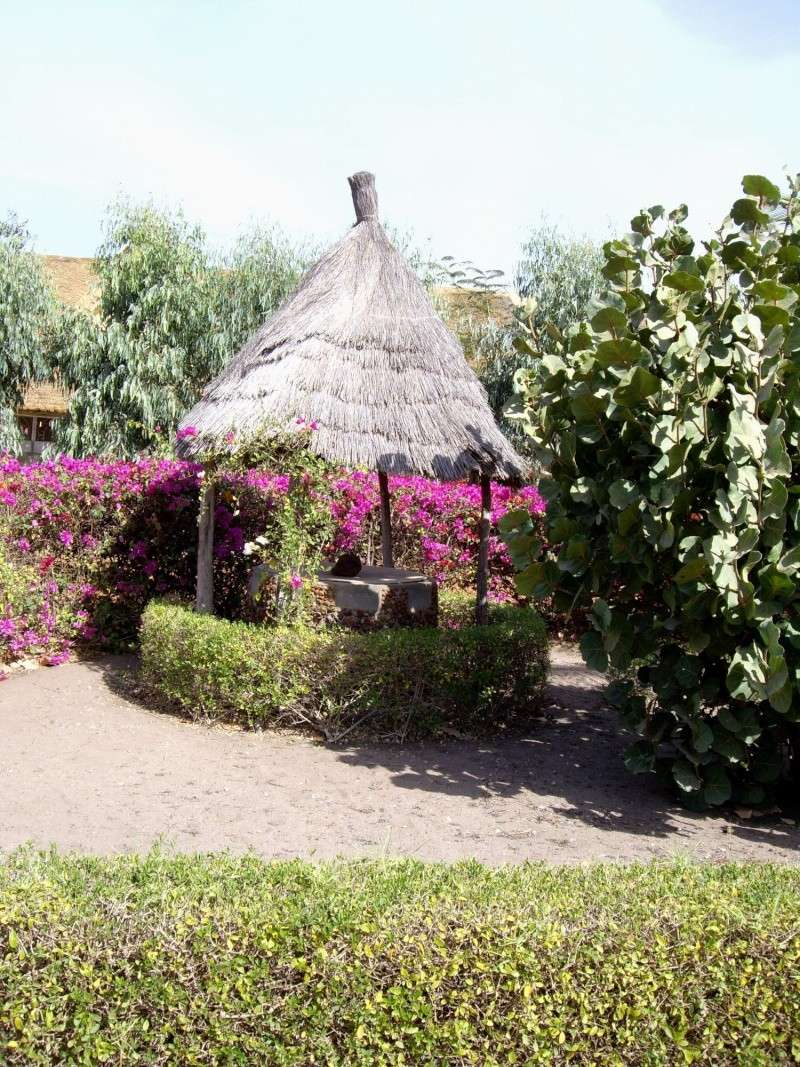 Quelques photos de notre Séjour au Sénégal en mars/avril 2008 - toutes les photos sont regroupées à cet endroit Vs9agx11