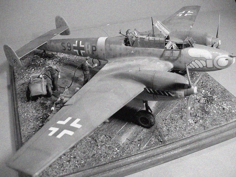 Messerschmitt BF 110 1/48 Dscn0166