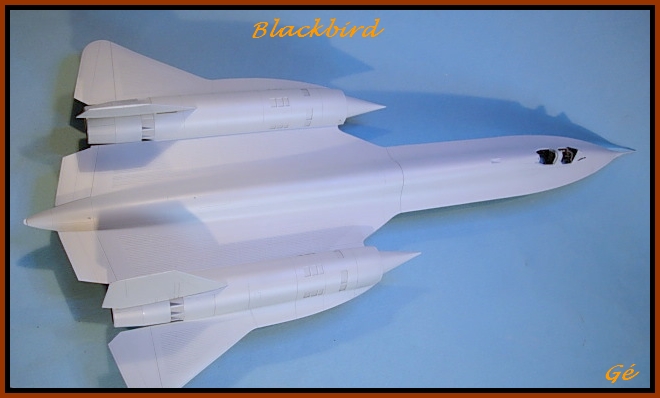 SR71 Blackbird [Academy] 1/72 Dscn0348