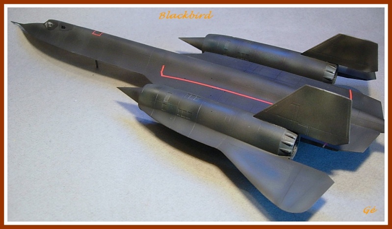 SR71 Blackbird [Academy] 1/72 Dscn0350