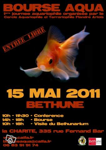  bourse de Béthune 15 mai 2011 67977010