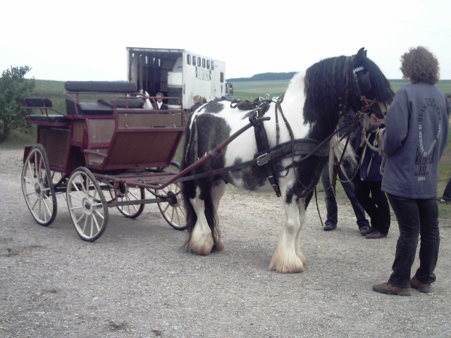 Concours GCS 29 mai 2010 au Vallon... quels chevaux ?? Reco0753