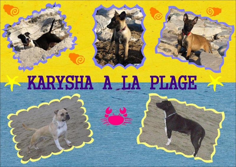 Karysha ouah ouah  la plage... le retour!! 125