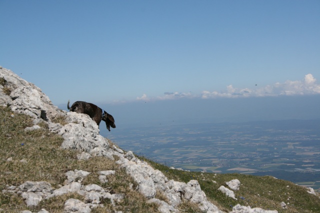 Image hébergée par servimg.com