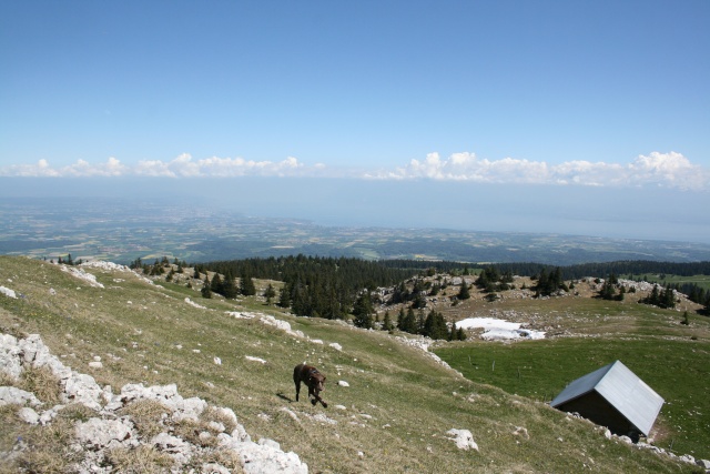 Image hébergée par servimg.com