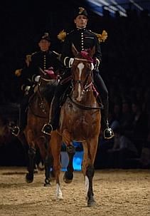 Les chevaux du Cadre Noir de Saumur à Lens Les-ch10